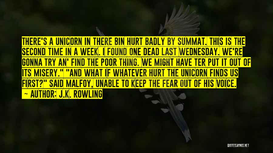 J.K. Rowling Quotes: There's A Unicorn In There Bin Hurt Badly By Summat. This Is The Second Time In A Week. I Found