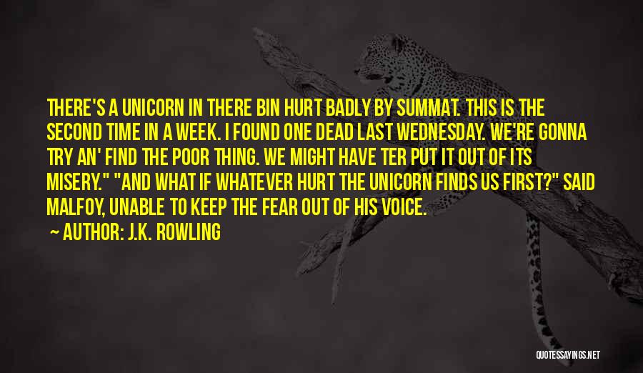 J.K. Rowling Quotes: There's A Unicorn In There Bin Hurt Badly By Summat. This Is The Second Time In A Week. I Found