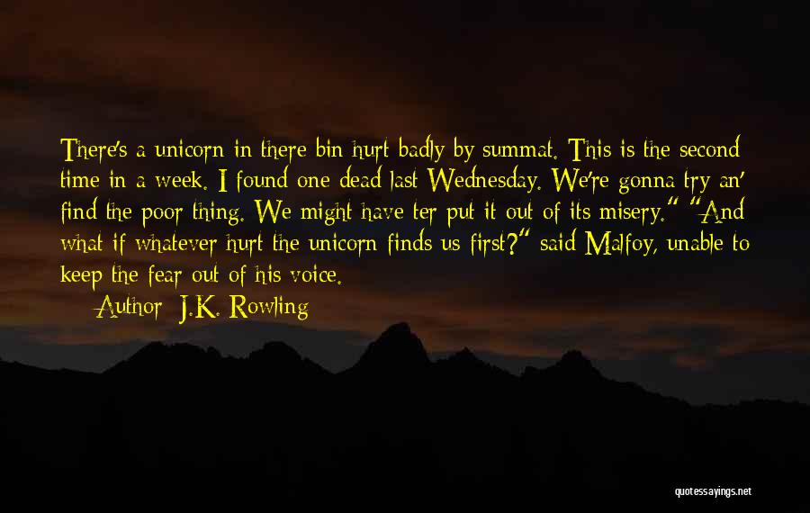 J.K. Rowling Quotes: There's A Unicorn In There Bin Hurt Badly By Summat. This Is The Second Time In A Week. I Found