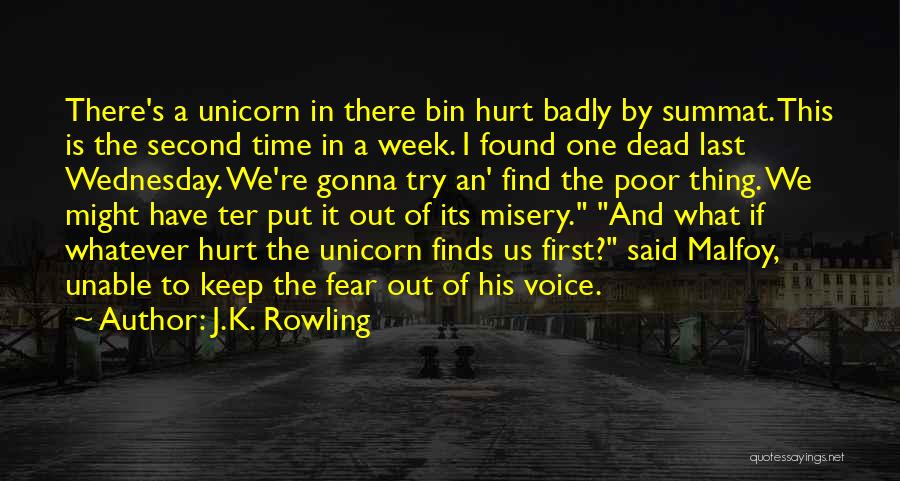 J.K. Rowling Quotes: There's A Unicorn In There Bin Hurt Badly By Summat. This Is The Second Time In A Week. I Found
