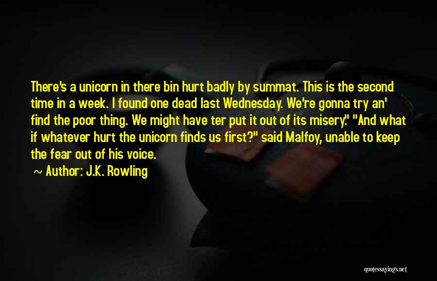 J.K. Rowling Quotes: There's A Unicorn In There Bin Hurt Badly By Summat. This Is The Second Time In A Week. I Found