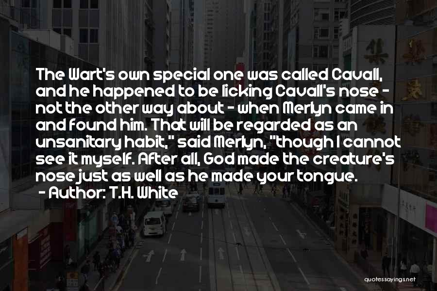 T.H. White Quotes: The Wart's Own Special One Was Called Cavall, And He Happened To Be Licking Cavall's Nose - Not The Other