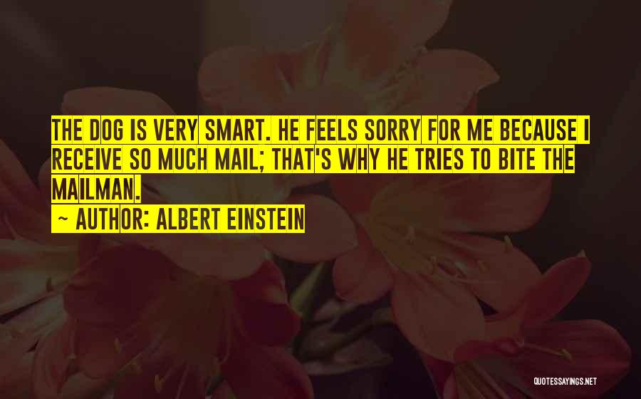 Albert Einstein Quotes: The Dog Is Very Smart. He Feels Sorry For Me Because I Receive So Much Mail; That's Why He Tries