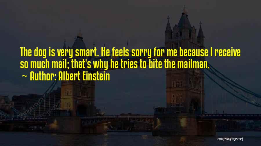 Albert Einstein Quotes: The Dog Is Very Smart. He Feels Sorry For Me Because I Receive So Much Mail; That's Why He Tries