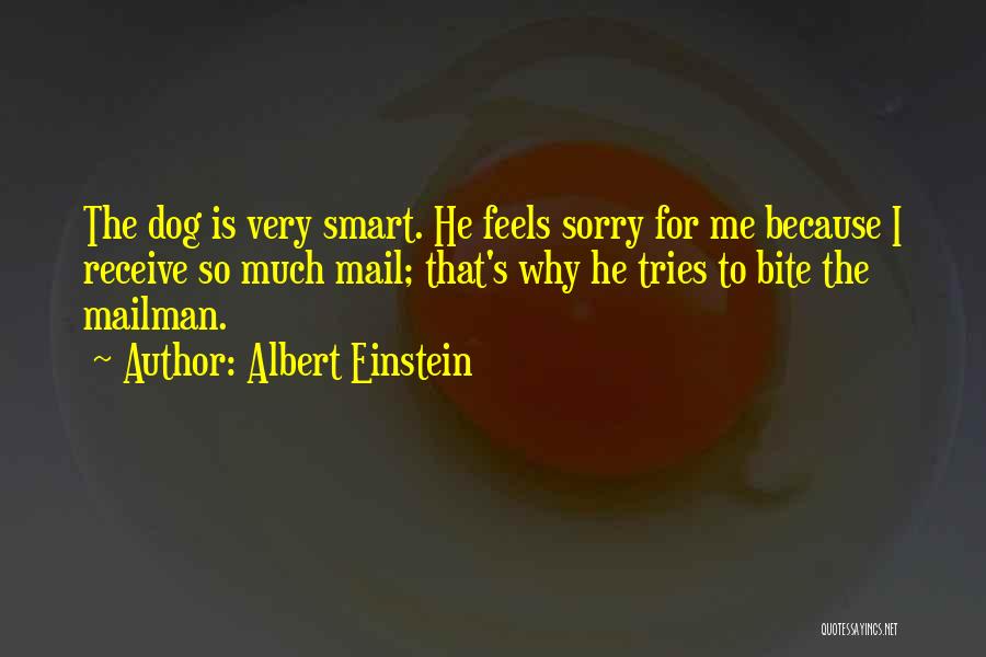 Albert Einstein Quotes: The Dog Is Very Smart. He Feels Sorry For Me Because I Receive So Much Mail; That's Why He Tries