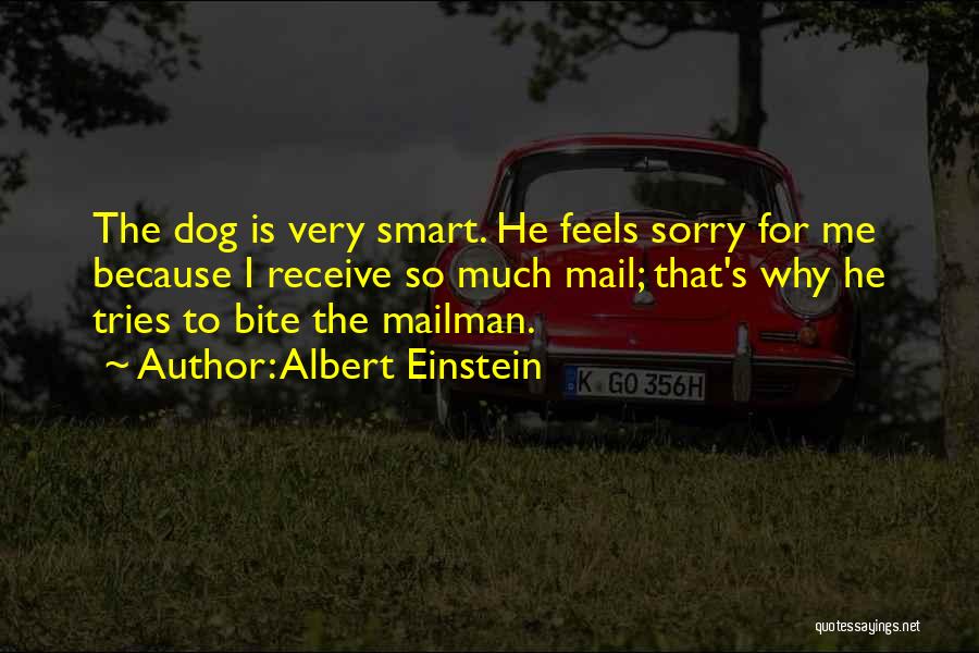 Albert Einstein Quotes: The Dog Is Very Smart. He Feels Sorry For Me Because I Receive So Much Mail; That's Why He Tries