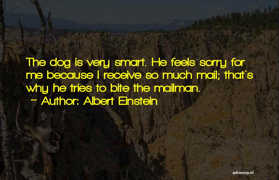 Albert Einstein Quotes: The Dog Is Very Smart. He Feels Sorry For Me Because I Receive So Much Mail; That's Why He Tries