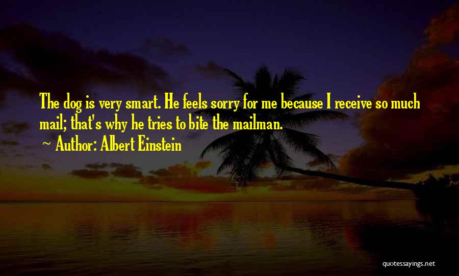 Albert Einstein Quotes: The Dog Is Very Smart. He Feels Sorry For Me Because I Receive So Much Mail; That's Why He Tries