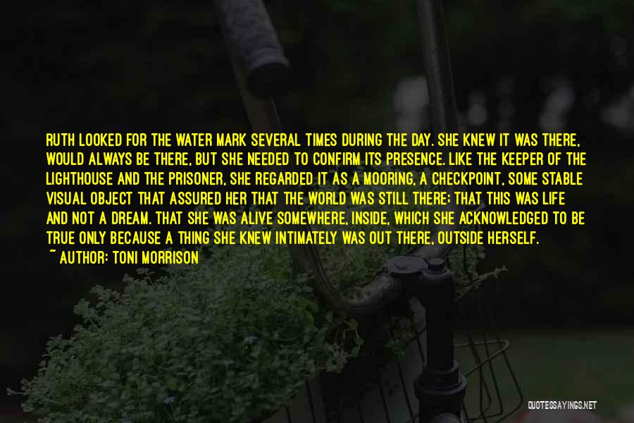 Toni Morrison Quotes: Ruth Looked For The Water Mark Several Times During The Day. She Knew It Was There, Would Always Be There,