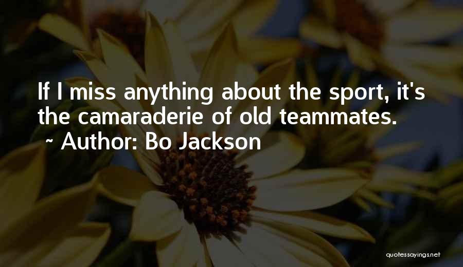 Bo Jackson Quotes: If I Miss Anything About The Sport, It's The Camaraderie Of Old Teammates.