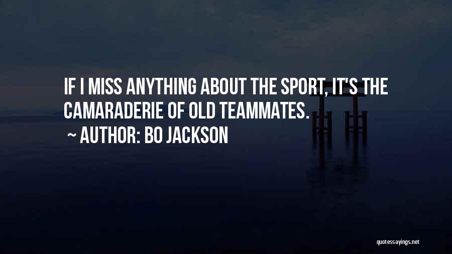 Bo Jackson Quotes: If I Miss Anything About The Sport, It's The Camaraderie Of Old Teammates.