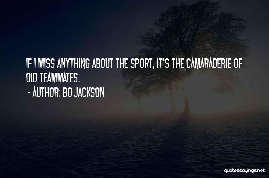 Bo Jackson Quotes: If I Miss Anything About The Sport, It's The Camaraderie Of Old Teammates.