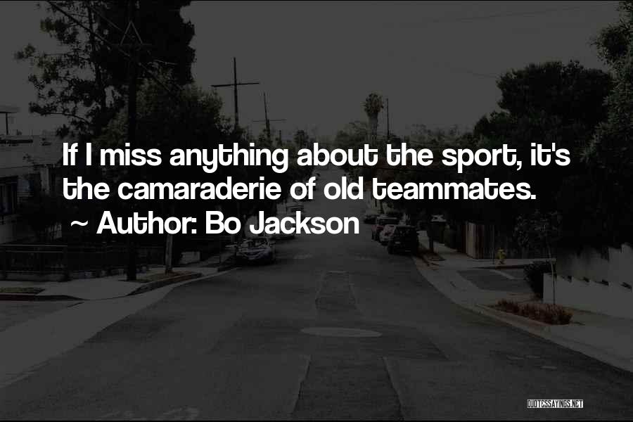 Bo Jackson Quotes: If I Miss Anything About The Sport, It's The Camaraderie Of Old Teammates.