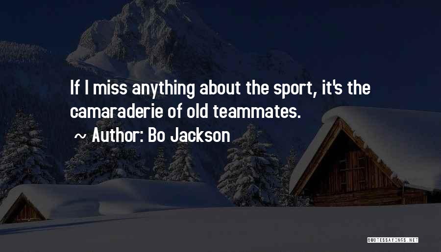 Bo Jackson Quotes: If I Miss Anything About The Sport, It's The Camaraderie Of Old Teammates.