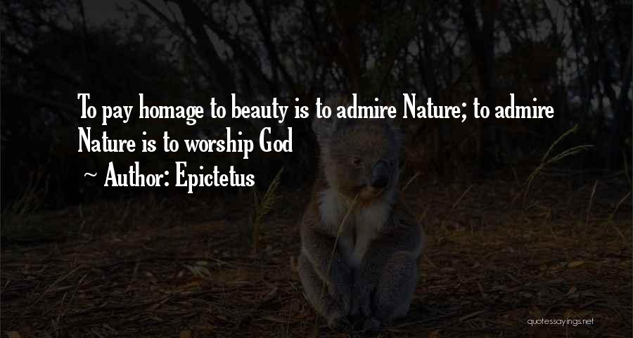 Epictetus Quotes: To Pay Homage To Beauty Is To Admire Nature; To Admire Nature Is To Worship God