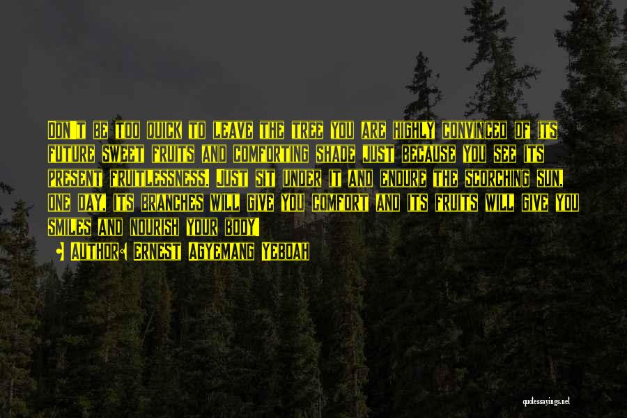 Ernest Agyemang Yeboah Quotes: Don't Be Too Quick To Leave The Tree You Are Highly Convinced Of Its Future Sweet Fruits And Comforting Shade