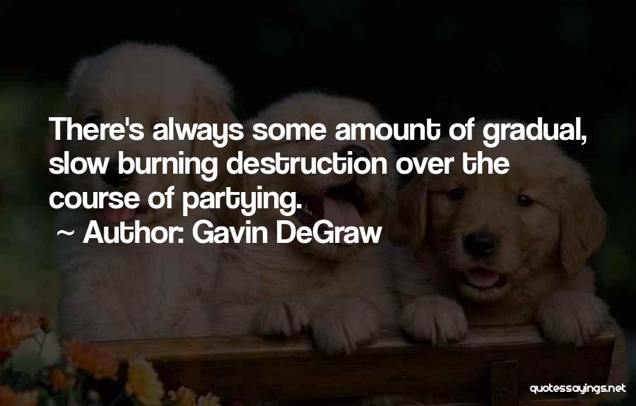 Gavin DeGraw Quotes: There's Always Some Amount Of Gradual, Slow Burning Destruction Over The Course Of Partying.