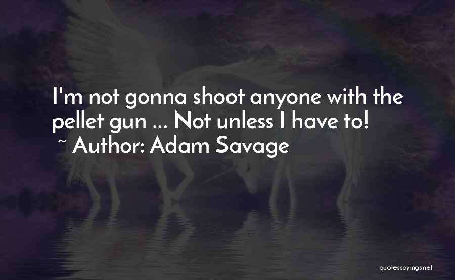 Adam Savage Quotes: I'm Not Gonna Shoot Anyone With The Pellet Gun ... Not Unless I Have To!