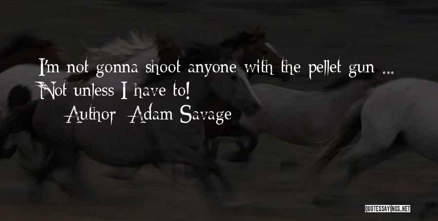 Adam Savage Quotes: I'm Not Gonna Shoot Anyone With The Pellet Gun ... Not Unless I Have To!