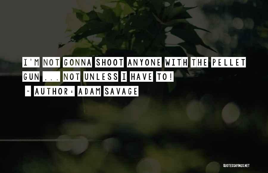 Adam Savage Quotes: I'm Not Gonna Shoot Anyone With The Pellet Gun ... Not Unless I Have To!