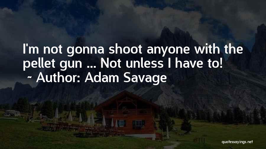 Adam Savage Quotes: I'm Not Gonna Shoot Anyone With The Pellet Gun ... Not Unless I Have To!