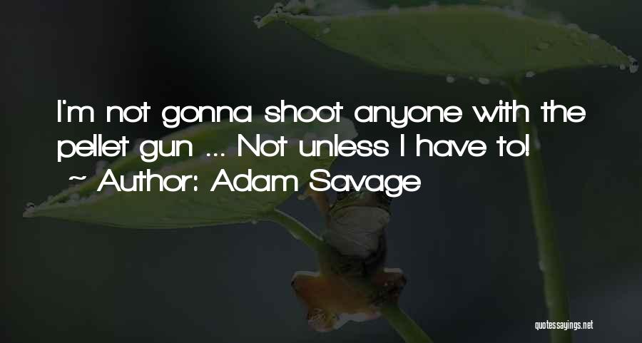 Adam Savage Quotes: I'm Not Gonna Shoot Anyone With The Pellet Gun ... Not Unless I Have To!