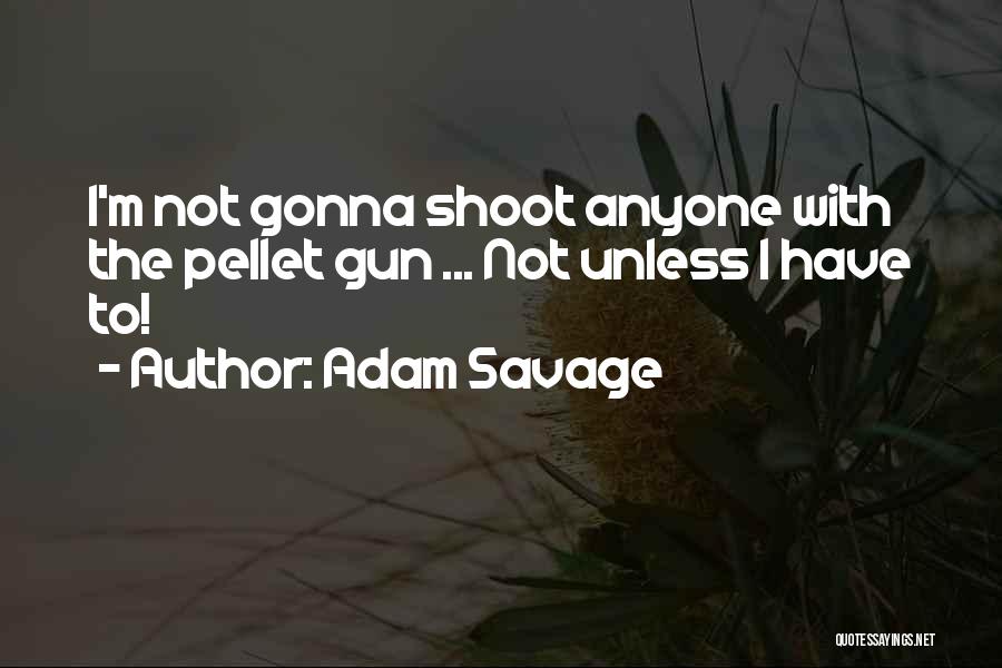 Adam Savage Quotes: I'm Not Gonna Shoot Anyone With The Pellet Gun ... Not Unless I Have To!