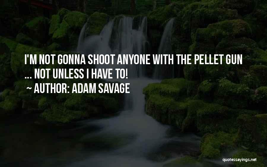Adam Savage Quotes: I'm Not Gonna Shoot Anyone With The Pellet Gun ... Not Unless I Have To!