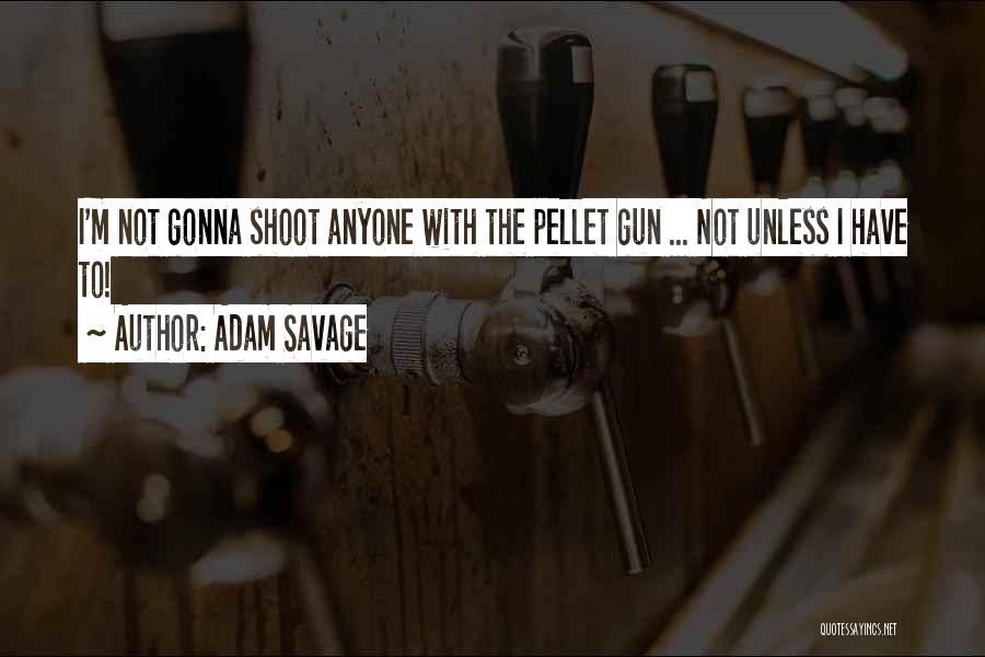 Adam Savage Quotes: I'm Not Gonna Shoot Anyone With The Pellet Gun ... Not Unless I Have To!