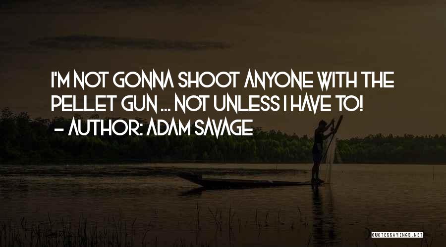 Adam Savage Quotes: I'm Not Gonna Shoot Anyone With The Pellet Gun ... Not Unless I Have To!