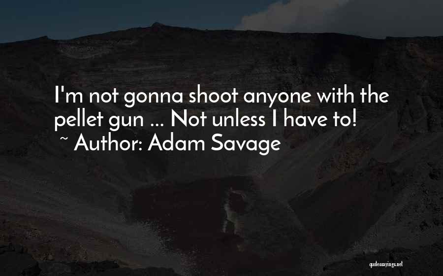 Adam Savage Quotes: I'm Not Gonna Shoot Anyone With The Pellet Gun ... Not Unless I Have To!