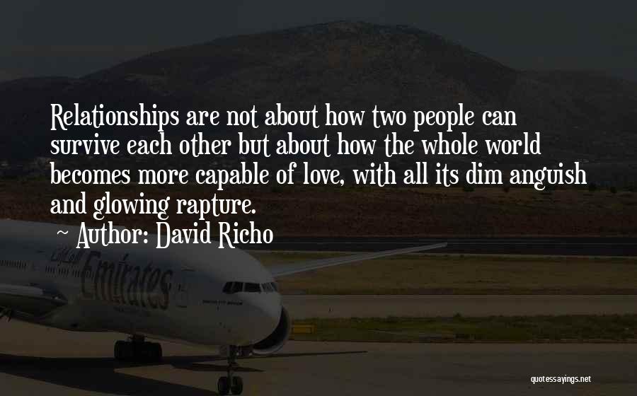 David Richo Quotes: Relationships Are Not About How Two People Can Survive Each Other But About How The Whole World Becomes More Capable