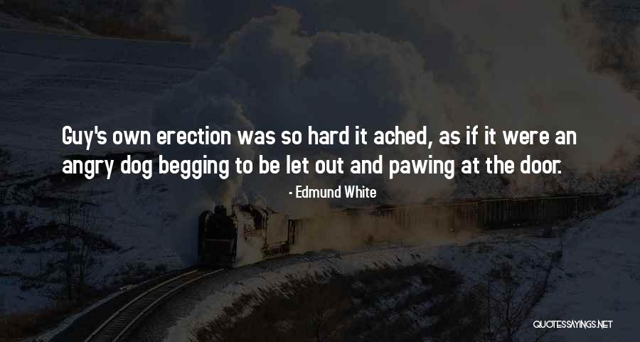 509a2 Quotes By Edmund White 509a2 Quotes By Edmund White
