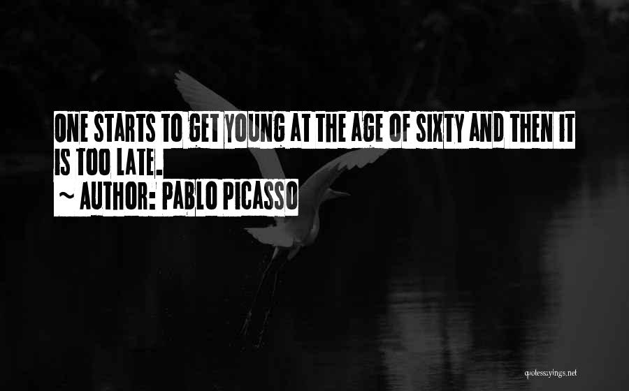 50th Birthday Quotes By Pablo Picasso