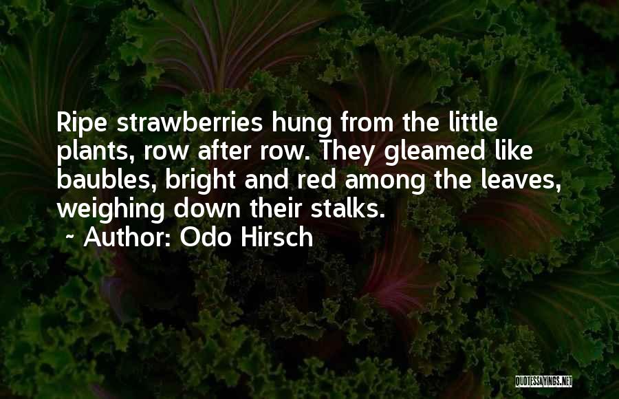 Odo Hirsch Quotes: Ripe Strawberries Hung From The Little Plants, Row After Row. They Gleamed Like Baubles, Bright And Red Among The Leaves,