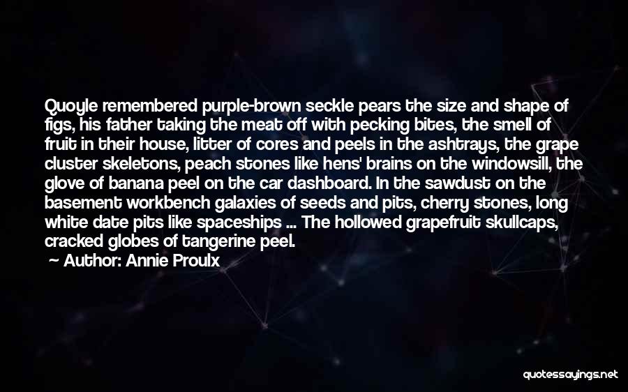 Annie Proulx Quotes: Quoyle Remembered Purple-brown Seckle Pears The Size And Shape Of Figs, His Father Taking The Meat Off With Pecking Bites,