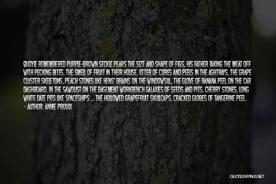 Annie Proulx Quotes: Quoyle Remembered Purple-brown Seckle Pears The Size And Shape Of Figs, His Father Taking The Meat Off With Pecking Bites,