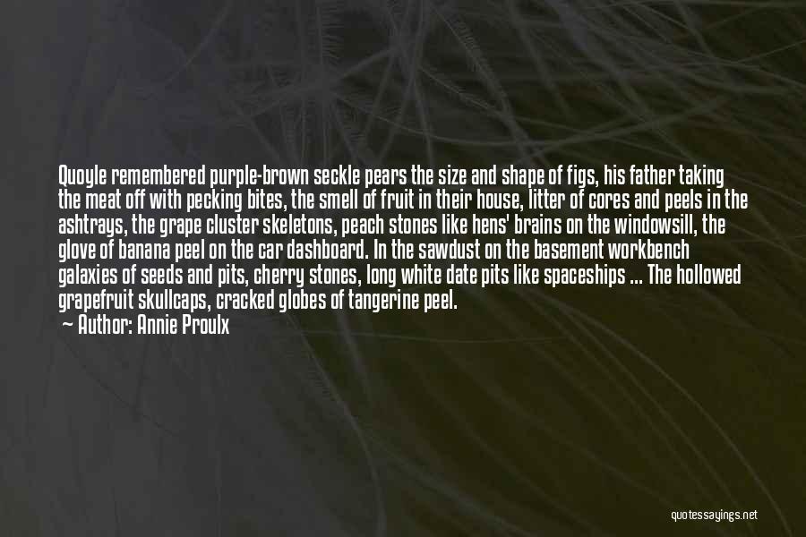 Annie Proulx Quotes: Quoyle Remembered Purple-brown Seckle Pears The Size And Shape Of Figs, His Father Taking The Meat Off With Pecking Bites,