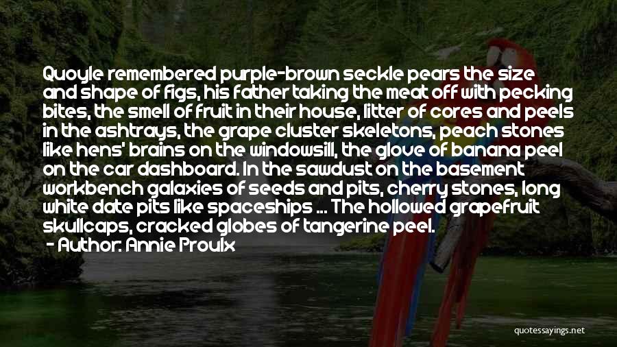 Annie Proulx Quotes: Quoyle Remembered Purple-brown Seckle Pears The Size And Shape Of Figs, His Father Taking The Meat Off With Pecking Bites,