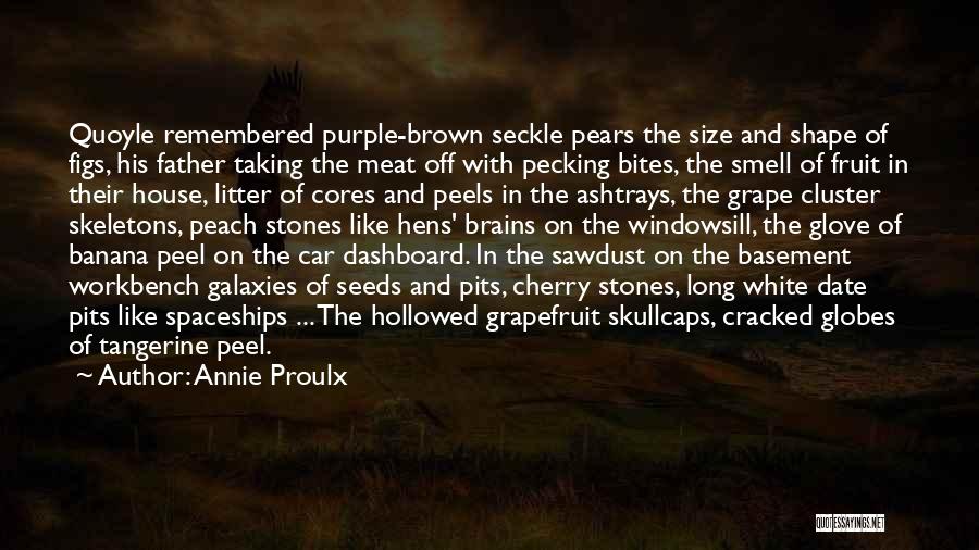 Annie Proulx Quotes: Quoyle Remembered Purple-brown Seckle Pears The Size And Shape Of Figs, His Father Taking The Meat Off With Pecking Bites,