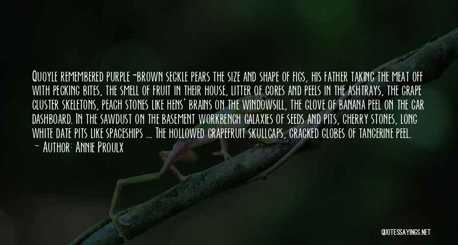 Annie Proulx Quotes: Quoyle Remembered Purple-brown Seckle Pears The Size And Shape Of Figs, His Father Taking The Meat Off With Pecking Bites,