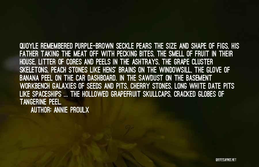Annie Proulx Quotes: Quoyle Remembered Purple-brown Seckle Pears The Size And Shape Of Figs, His Father Taking The Meat Off With Pecking Bites,