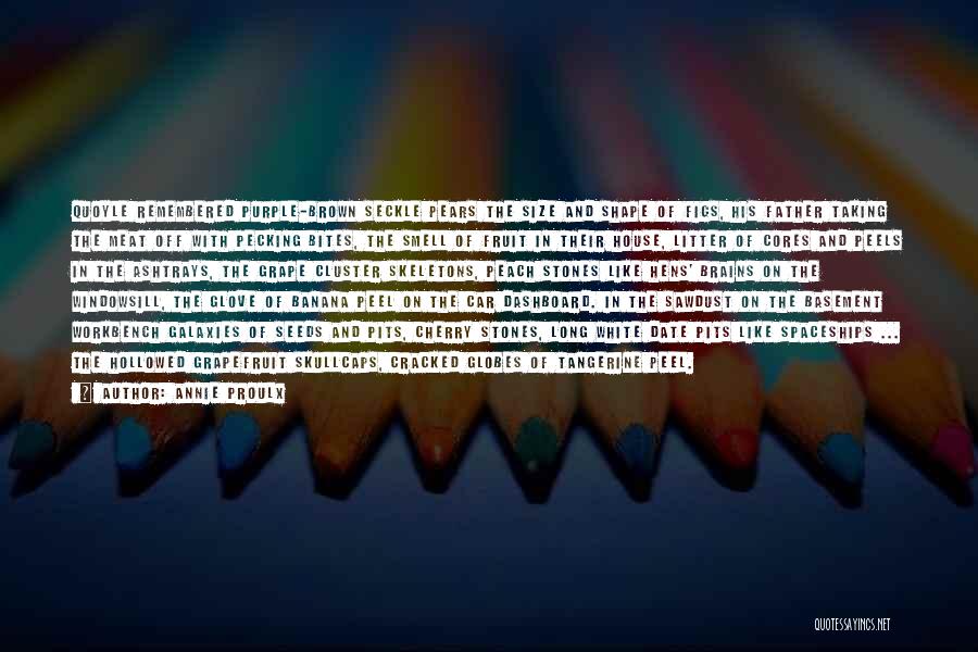 Annie Proulx Quotes: Quoyle Remembered Purple-brown Seckle Pears The Size And Shape Of Figs, His Father Taking The Meat Off With Pecking Bites,