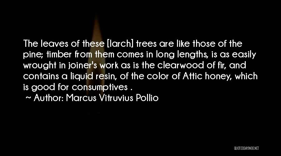 Marcus Vitruvius Pollio Quotes: The Leaves Of These [larch] Trees Are Like Those Of The Pine; Timber From Them Comes In Long Lengths, Is