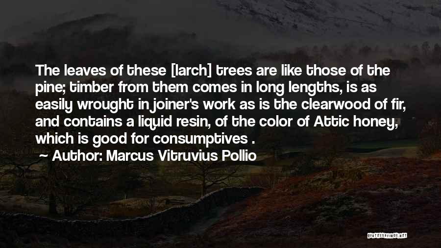 Marcus Vitruvius Pollio Quotes: The Leaves Of These [larch] Trees Are Like Those Of The Pine; Timber From Them Comes In Long Lengths, Is