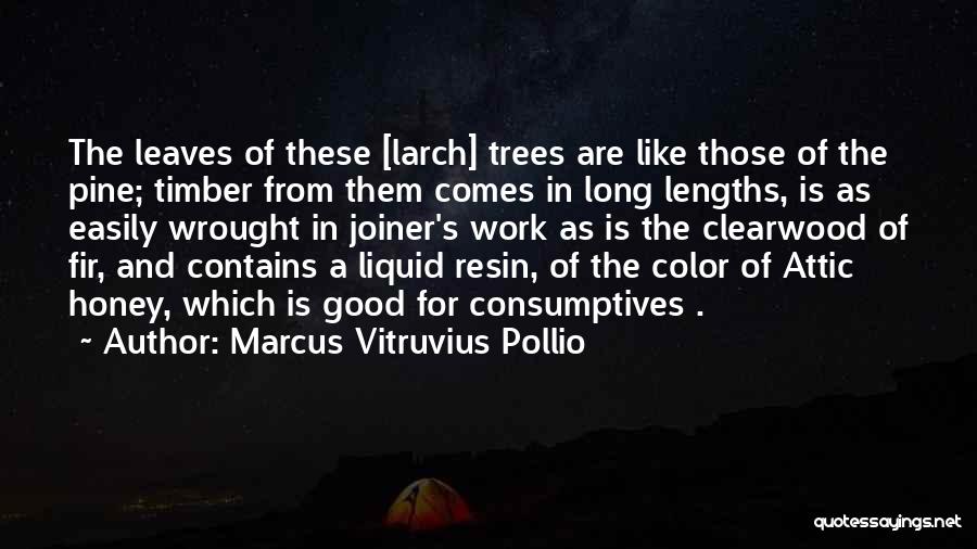 Marcus Vitruvius Pollio Quotes: The Leaves Of These [larch] Trees Are Like Those Of The Pine; Timber From Them Comes In Long Lengths, Is