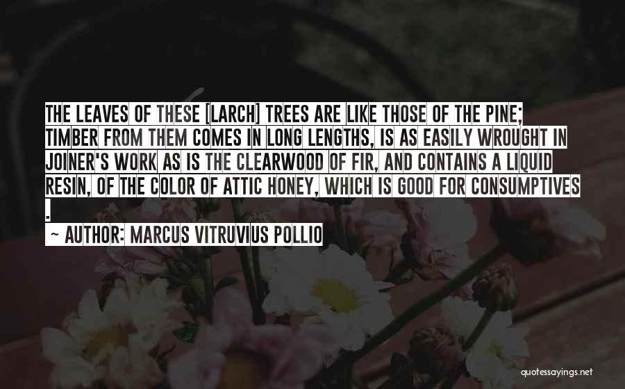 Marcus Vitruvius Pollio Quotes: The Leaves Of These [larch] Trees Are Like Those Of The Pine; Timber From Them Comes In Long Lengths, Is