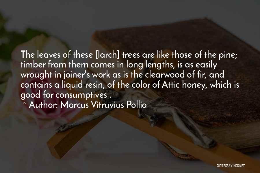 Marcus Vitruvius Pollio Quotes: The Leaves Of These [larch] Trees Are Like Those Of The Pine; Timber From Them Comes In Long Lengths, Is