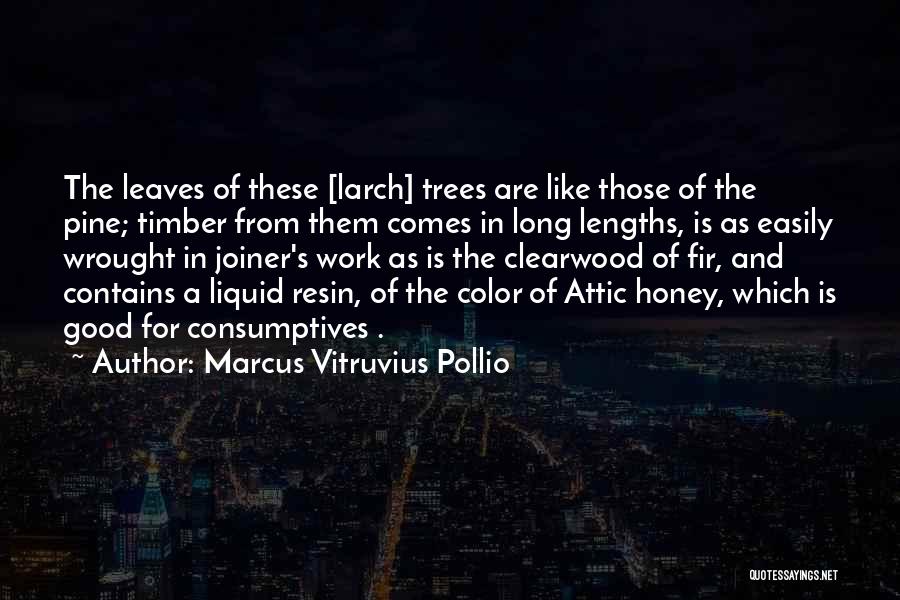 Marcus Vitruvius Pollio Quotes: The Leaves Of These [larch] Trees Are Like Those Of The Pine; Timber From Them Comes In Long Lengths, Is