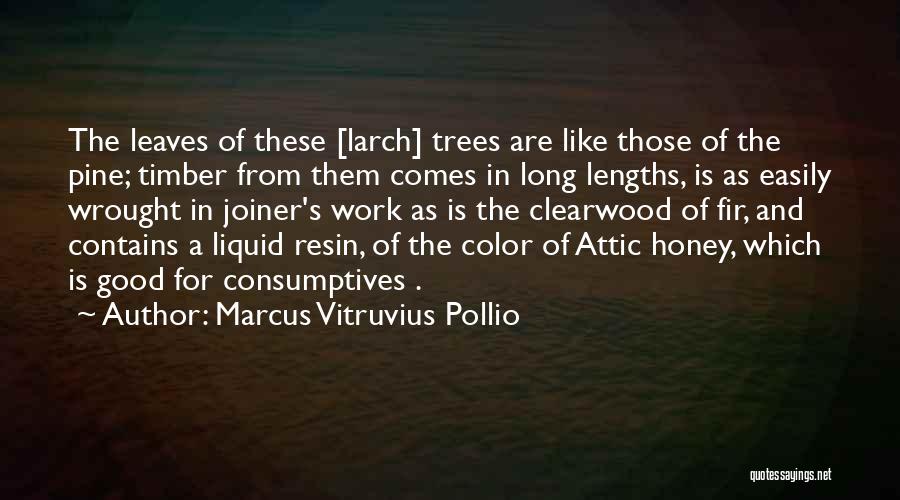 Marcus Vitruvius Pollio Quotes: The Leaves Of These [larch] Trees Are Like Those Of The Pine; Timber From Them Comes In Long Lengths, Is